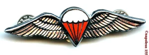 PARACHUTISTE Brevet para Afrique du Sud - Imagen 1 de 2