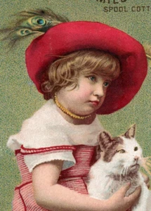 Carrete Clark's Mile-End 1887 algodón linda niña encantadora pluma de pavo real gato P159 - Imagen 1 de 3