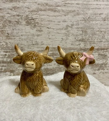 Salero y pimentero Highland Cow granja Shabby Chic arco rosa NUEVO para 2025 Foto 1 de 4