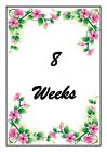 Pregnancy Milestone Cards. Pink flowers, colourful. 20 cards/pack