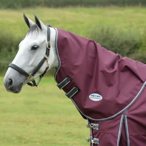 Weatherbeeta Comfitec Plus Dynamic II Neck Rug Medium - Picture 1 of 2