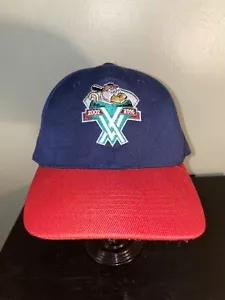 Tri City ValleyCats baseball hat ball cap 2000 2016 Blue Red Logo Adjustable - Picture 1 of 10