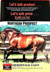 1993 Blood-Horse, Thoroughbred HORSE RACING Magazine - SUMMER SQUALL - HAWKSTER - Imagen 1 de 23