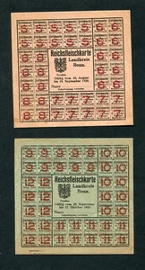 2 mapas de carne del Reich, marcas de carne distrito de Bonn, mapas de alimentos 1920 - Imagen 1 de 1