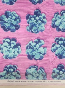 40" x 54" Joel Dewberry SAJD040 Cali Mod Succulents pink/turquoise  Canvas - Picture 1 of 1