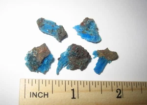 5 SMALL RARE! NATURAL CHALCANTHITE CRYSTALS ON STONE MATRIX ARIZONA USA ~ 6grams - Picture 1 of 4