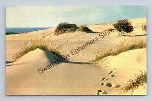 Postkarte Michigans Silver Lake Sanddünen - Bild 1 von 2