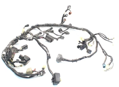 Chicote de fios principal genuíno Yamaha YZF-R3 2019–2024 B5L-H2590-10-00 - Imagem 1 de 4