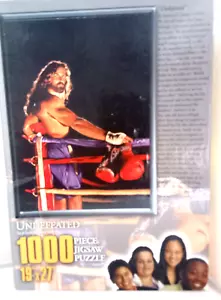 Undefeated 1000 Piece Jigsaw Puzzle by Stephen Sawyer - New Sealed - Picture 1 of 4