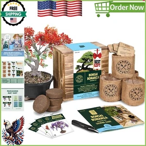 Eco-Friendly Bonsai Tree Growing Kit - Includes Seeds, Pruning Tools, and Box - Picture 1 of 11