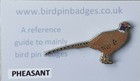 Pheasant Bird pin badge not RSPB