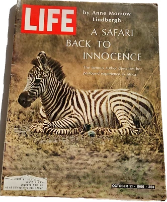 October 21, 1966 LIFE Magazine 1960s adds add ad Advertising Ads FREE SHIP 10 22 - Image 1 of 4