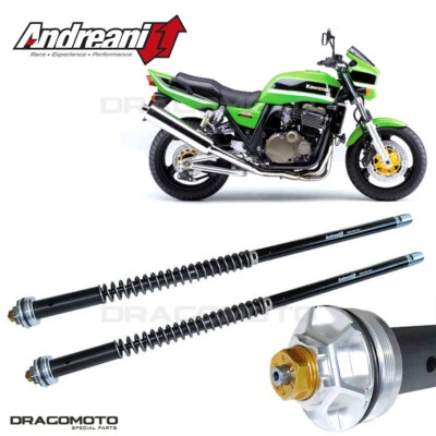 Cartucho KAWASAKI ZRX 1200 R 2000-2006 ANDREANI 105/K39E MISANO EVO Foto 1 de 4