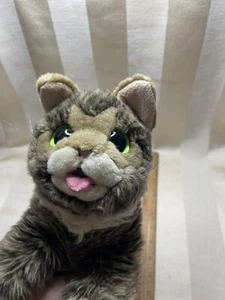 Peluche gatto Lil Bub Tabby coccola fienile 12" peluche realistico occhi verdi - Foto 1 di 6