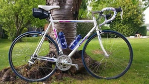 Mass Volata 6 - pro race bike - Picture 1 of 11