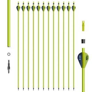 31" Pure/Mixed Carbon Arrows 2" Vane Spine 350-500 Compound Recurve Bow Hunting - Picture 1 of 15