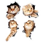 (4 Stck ) 3D Katze Aufkleber Aufkleber / Aufkleber Fr Fenster, , , Laptopzz