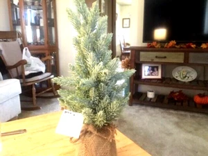 Artificial Table-Top Tree in Burlap - Picture 1 of 1