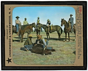 MLS Cowboys Examining a Yearling's Brand Sierra Bonita Ranch AZ MLS32 - Foto 1 di 2