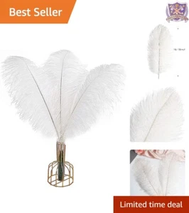 12pcs White Ostrich Feathers Natural 16-45cm for Wedding Party Home Decor - Picture 1 of 9