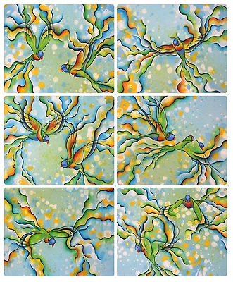 6 PLACEMATS + 6 COASTERS - MADE IN AUSTRALIA - WATERPROOF - RAINBOW LORIKEETS - Image 1 of 4