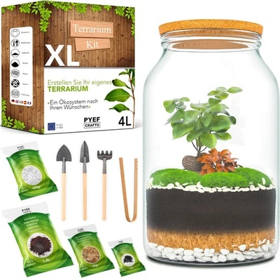 Pyef Crafts Flaschengarten Xl-set: 4l Ökosystem-terrarium, Biosphäre im Glas - Bild 1 von 4