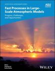 Fast Processes in Large-Scale Atmospheric Models Pavlos Kollias
