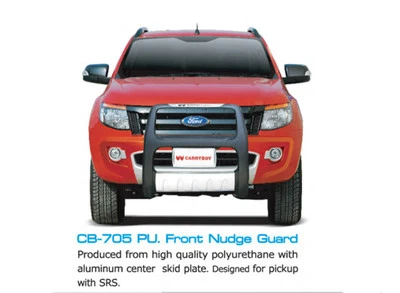 PROTECTOR DE EMPUJE DE REJILLA DELANTERA PARACHOQUES PARA FORD RANGER T6 4X4 WILDTRAK 12-15 Foto 1 de 3