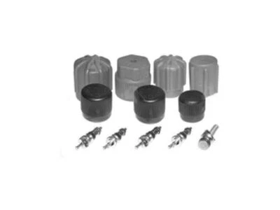 For Chevrolet W4500 Tiltmaster A/C System Valve Core and Cap Kit 65398MKTJ - Изображение 1 из 2