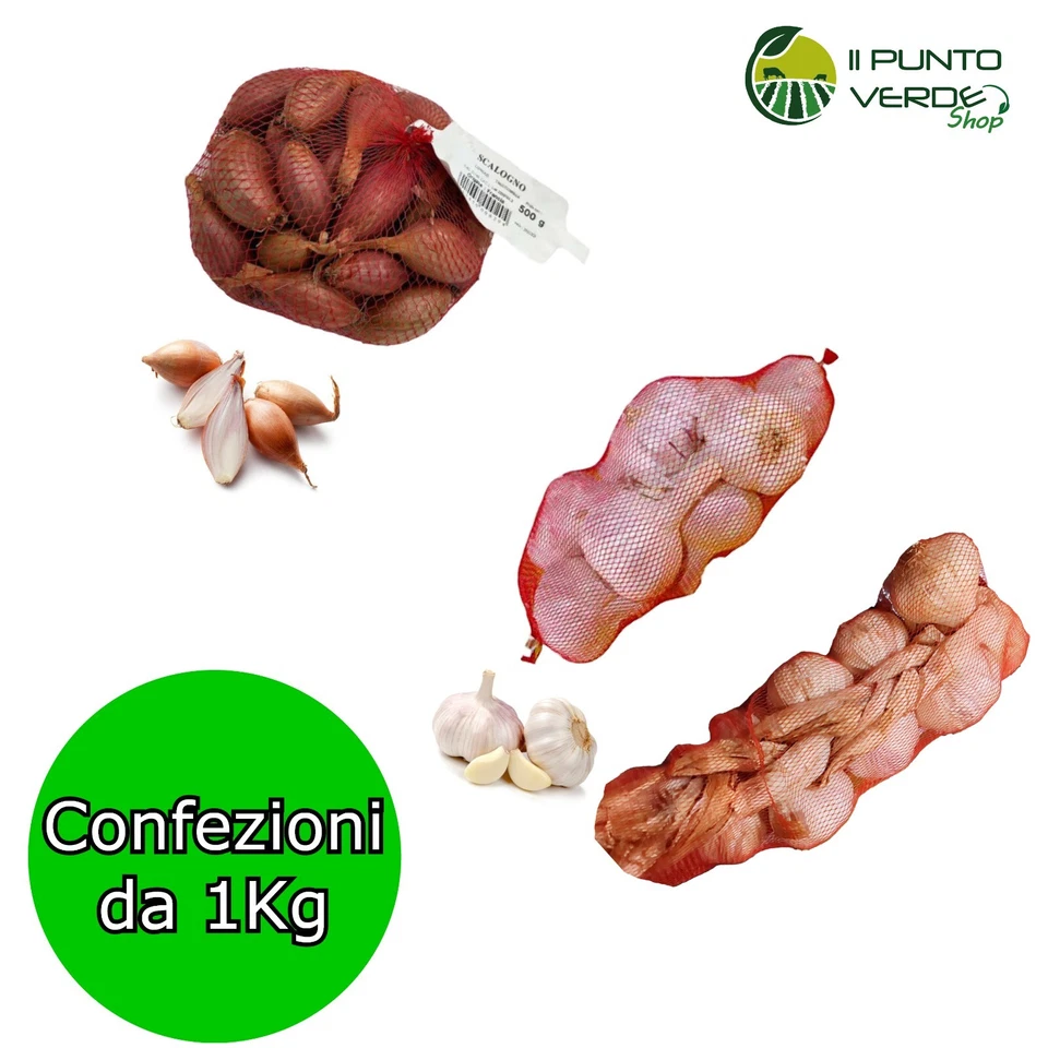 AGLIO TRECCIA SCALOGNO confezioni da 1 KG da seme Bulbi Uso Alimentare - Immagine 1 di 1