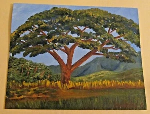 Oil Painting "Saman Tree"~16"x20"~Thin canvas~July 1975~Melody D. Smith~Unframed - Picture 1 of 5