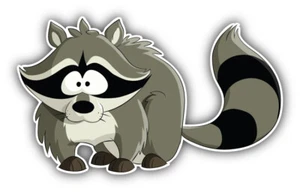 Funny Raccoon Car Bumper Sticker Decal - Bild 1 von 1