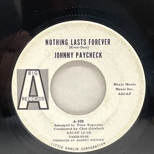 Johnny Paycheck Nothing Lasts Forever No One Ever Lost More 45 Record Promo - Imagen 1 de 3