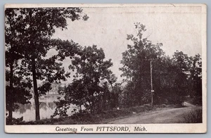 Tarjeta postal Saludos desde Pittsford Michigan MI L7 - Imagen 1 de 3