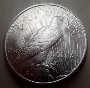 1923 PEACE SILVER DOLLAR - Lightly circulated, VERY LUSTROUS - Picture 1 of 4