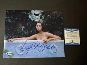 Sophia Loren Hot! handsigniertes signed klassisches sexy 8x10 Foto Beckett BAS coa - Bild 1 von 1