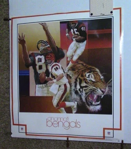 1981 Cincinnati Bengals Poster Pro Sports/Damac Inc Vintage minor wear 26"x24" - Picture 1 of 11