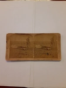 vintage stereoview card DEAD HORSE Bloemfontein Boer War South Africa - Picture 1 of 2
