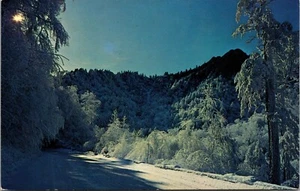 Snowy Smoky Trail Smoky Mountains Nationalpark Tennessee Chrome Postkarte F3 - Bild 1 von 2