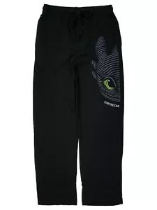 How To Train Your Dragon The Hidden World Mens Black Sleep Pant Pajama Bottom S - Picture 1 of 1