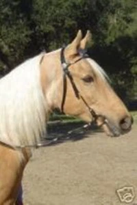 Brida Poco Occidental Cuero NEGRO con Ferrulas Plateadas Caballo COB Árabe Pony Grande - Imagen 1 de 2
