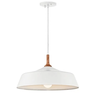 Kichler 43683WH - Danika 1 Light 16" Pendant w/ Wood Accent (NEW - BAD BOX ONLY) - Picture 1 of 4