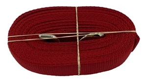 1" Nylon Webbing Dog Leash 6' 2 Ply USA Made Made in Alabama "Roll Tide" - Picture 1 of 16