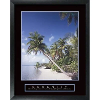 Serenity, Palm Tree, Inspirational Home, Office, Framed Motivational Poster Foto 1 de 4