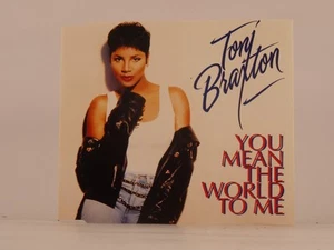 TONI BRAXTON YOU MEAN THE WORLD TO ME (A24) 4 Track CD Single Picture Sleeve ARI - Picture 1 of 8