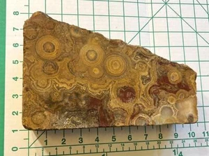 Bubble Lace Agate? Beautiful Large Specimen 9.1 Pounds Rough - Picture 1 of 6