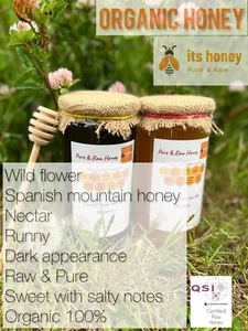 ORGANIC Unpasteurized FRESH Raw Honey Wild Flower Direct from the BEE Farm - Picture 1 of 8