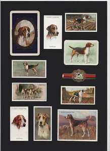 FOXHOUND MOUNTED SET VINTAGE DOG COLLECTABLE CARDS STAMPS AND BANDS - Picture 1 of 1