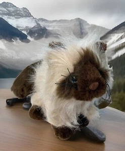 Webkinz Himalaya (HM165) Nagelneu unbenutzt versiegelter Code Plüschtier - Bild 1 von 8