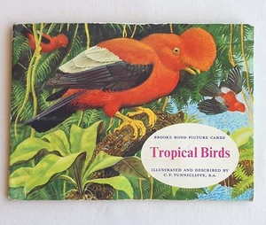 Tropical Birds Brooke Bond 1961 Picture Card Album Quality FULL SET Rare (B42) - Picture 1 of 4